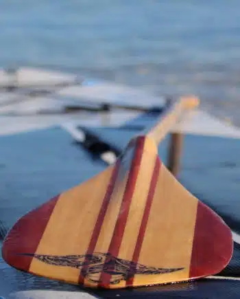 Pagaie SUP en bois Jeou Paddle exclu My Green Sport
