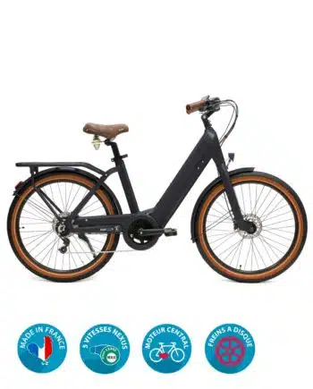 Vélo électrique Charlie Vintage Plus + Gris by Arcade Cycles